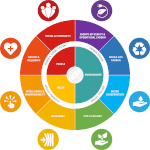 Attributes of Purposeful Design